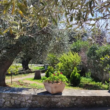 A&g Contrada Fumarola Holiday home *